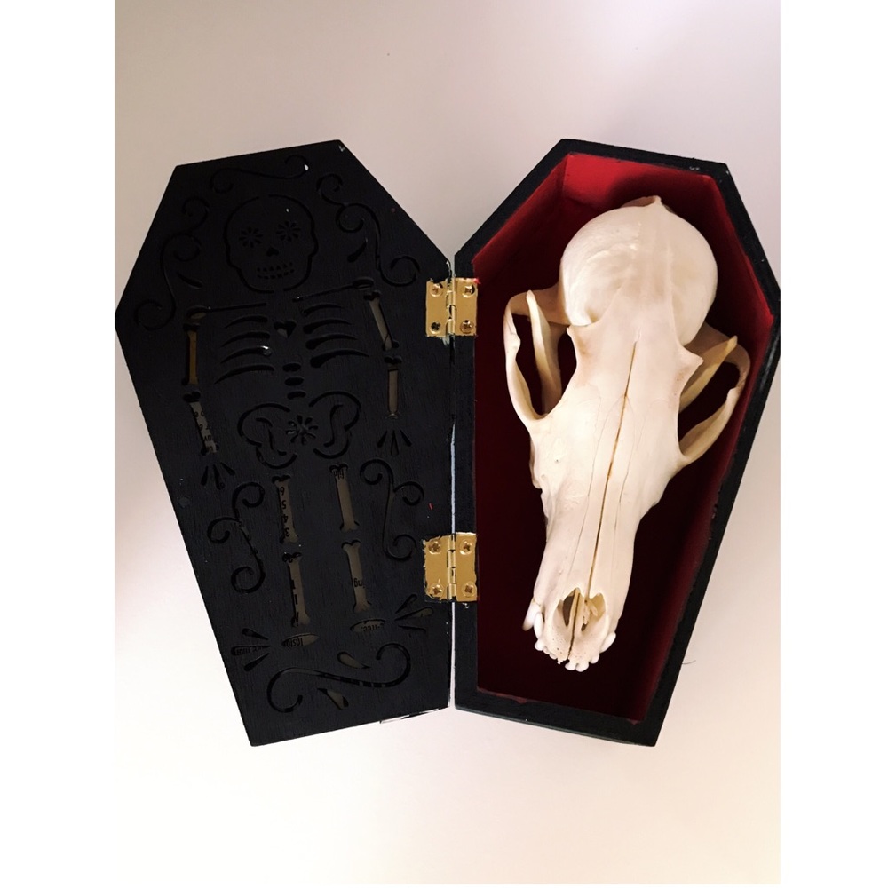 Mini Coffin - Picture 2 of 4